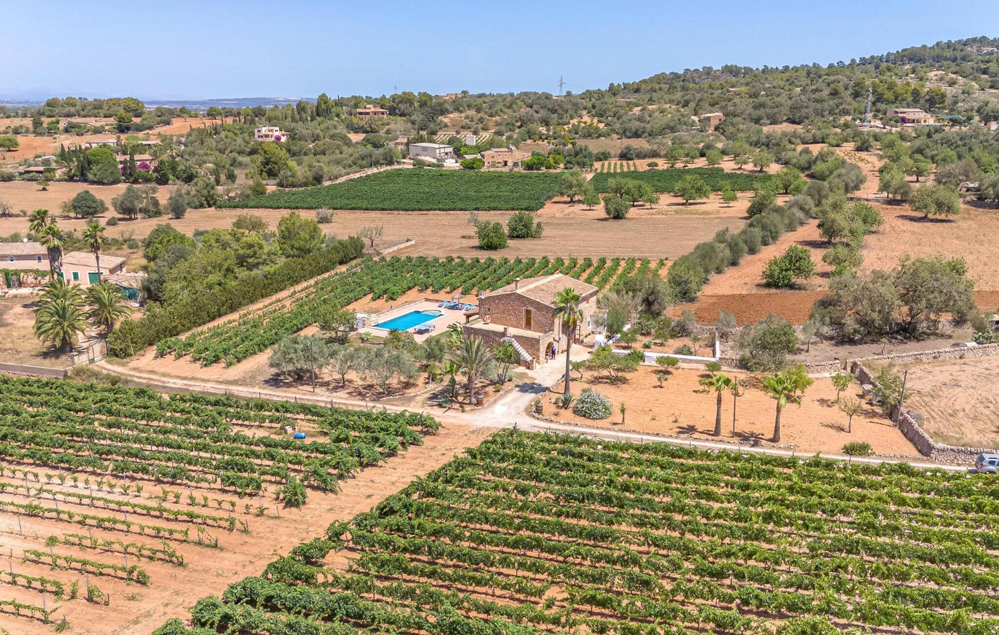 Vakantiehuis Cozy In With Outdoor Swimming Pool